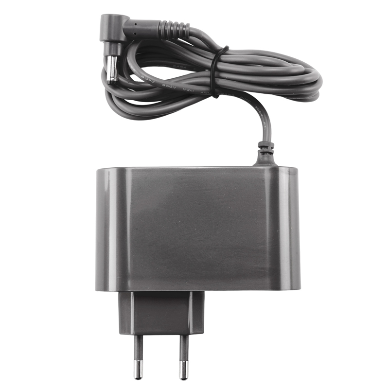 Replacement Charger for V10 V1 - Chargers 评论和价格